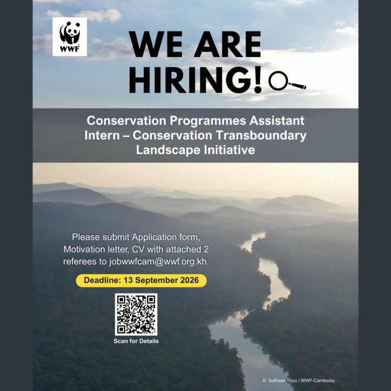 Programs Assistant Intern